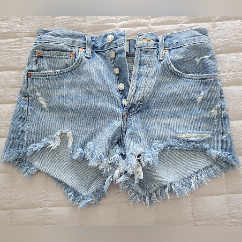 Agolde Parker shorts swapmeet